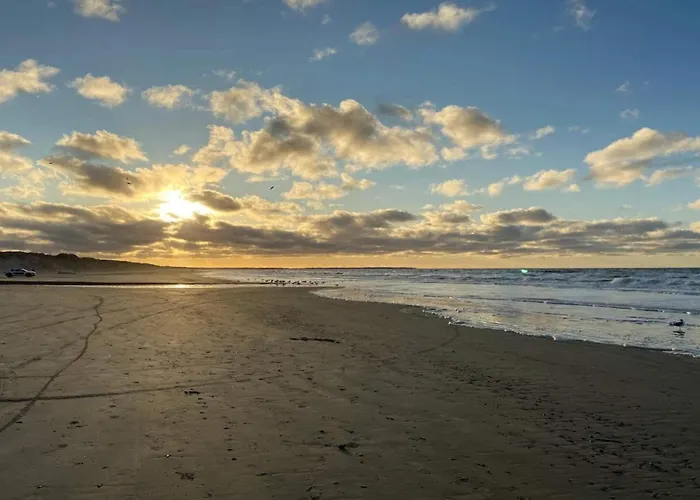 8 Person In Blokhus-by Traum *