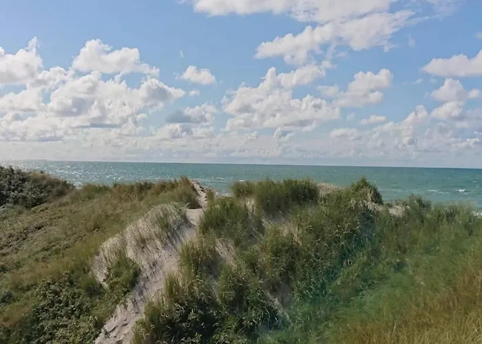 Feriehus 8 Person In Blokhus-by Traum Blokhus